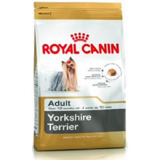 Royal_Canin_Yorkshire_Terrier