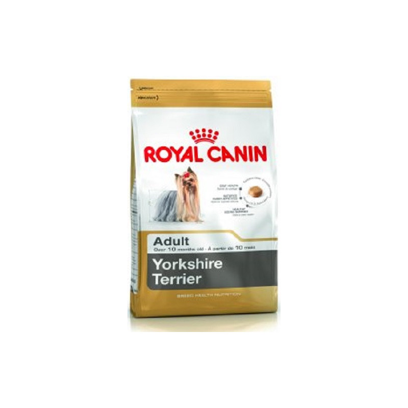 Royal_Canin_Yorkshire_Terrier