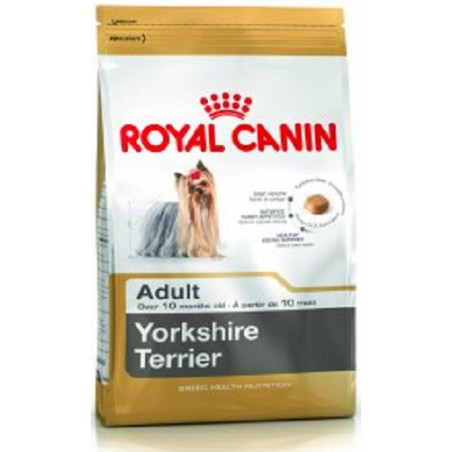 Royal_Canin_Yorkshire_Terrier